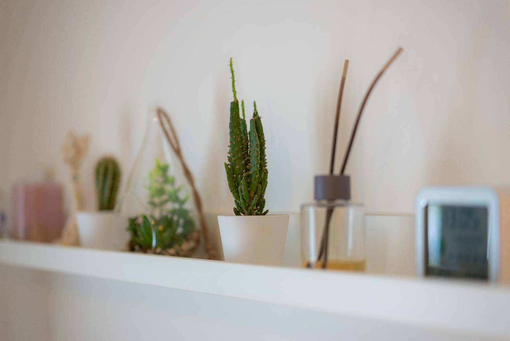 ספליט Studio Apartman Providenca מראה חיצוני תמונה